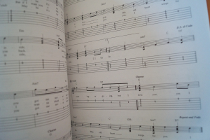 Rod Stewart - Best of for Easy Guitar Songbook Notenbuch Vocal Easy Guitar