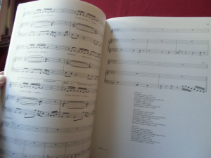 Stevie Wonder - Characters Songbook Notenbuch Piano Vocal Guitar PVG