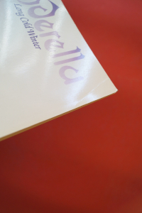 Cinderella - Long Cold Winter Songbook Notenbuch Vocal Guitar