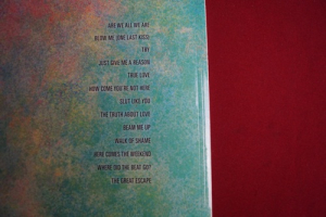 Pink - The Truth about Love Songbook Notenbuch Piano Vocal Guitar PVG