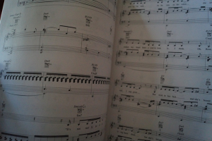 Lisa Loeb - Firecracker Songbook Notenbuch Piano Vocal Guitar PVG