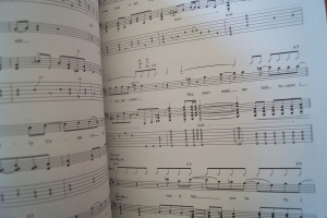 Melissa Etheridge - Your little Secret Songbook Notenbuch Vocal Guitar