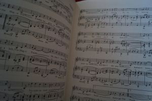 Platters - 10 Songs Songbook Notenbuch Piano Vocal Guitar PVG