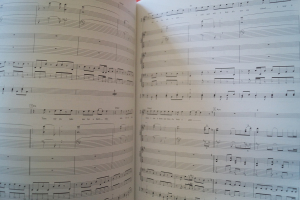 Red Hot Chili Peppers - Californication Songbook Notenbuch für Bands (Transcribed Scores)