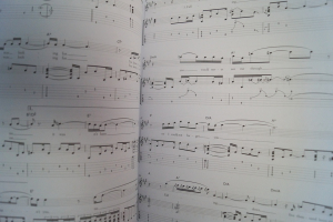 Muse - The Guitar Songbook Songbook Notenbuch Vocal Guitar