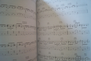 Andy McKee - Art of Motion Songbook Notenbuch Vocal Guitar