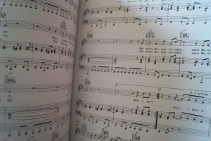 Bob Dylan - 30th Anniversary Concert Celebration Songbook Notenbuch Piano Vocal Guitar PVG