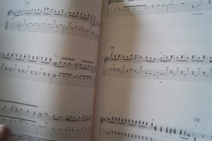 Stevie Ray Vaughan - Signature Licks (mit CD) Songbook Notenbuch Guitar