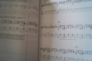 Stevie Ray Vaughan - Signature Licks (mit CD) Songbook Notenbuch Guitar