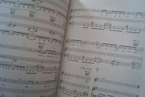 Accept - Balls to the Wall Songbook Notenbuch Piano Vocal Guitar PVG