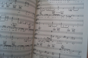 Accept - Balls to the Wall Songbook Notenbuch Piano Vocal Guitar PVG