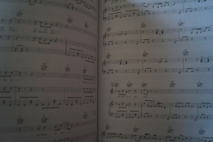 Black Keys - Best of Songbook Notenbuch Piano Vocal Guitar PVG