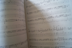 Steve Vai - Fire Garden Songbook Notenbuch Vocal Guitar