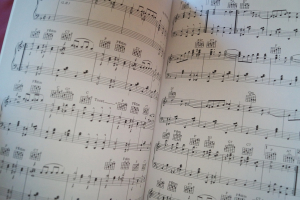 It´s easy to play Ragtime Songbook Notenbuch Piano Vocal Guitar PVG
