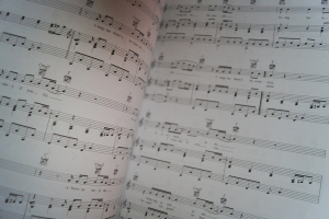 The New Standards 64 Popular Modern Songs Songbook Notenbuch Piano Vocal Guitar PVG