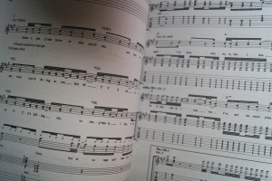 New Alternative Guitar Songbook Notenbuch Vocal Guitar