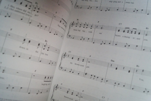 VH1: Selections from 100 Greatest Songs of Rock & Roll Songbook Notenbuch Easy Piano Vocal