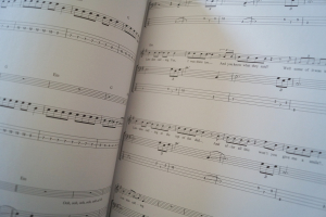 Legendary Bass Guitar Songs (in Box) Songbook Notenbuch Vocal Bass