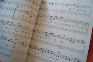 Budget Books: Acoustic Songs Songbook Notenbuch Easy Piano Vocal