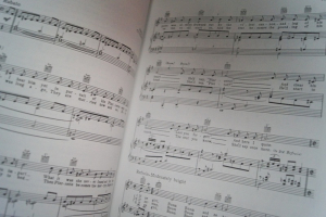 Broadway Comedy Classics Songbook Notenbuch Piano Vocal Guitar PVG