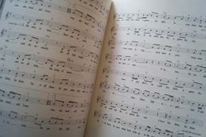 Roots & Trends Band 3 Songbook Notenbuch Vocal Guitar