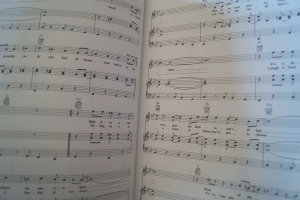 All You need is Love (39 Hits of the 60s) Songbook Notenbuch Piano Vocal Guitar PVG