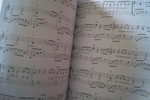 Hage Top Charts Gold Band 8 (mit 2 CDs) Songbook Notenbuch Piano Vocal Guitar PVG