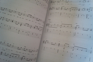 Fingerpicking Celtic Folk Songbook Notenbuch Vocal Guitar