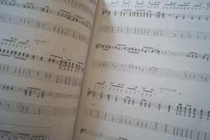 Rolling Stones - Guitar Signature Licks (mit CD) Songbook Notenbuch Guitar