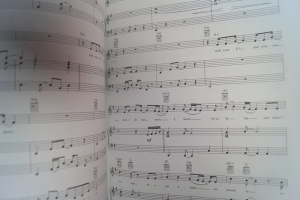 Tori Amos - From the Choirgirl Hotel Songbook Notenbuch Piano Vocal Guitar PVG