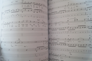 Play Bass with 20 Classic Songs (mit Audiocode) Songbook Notenbuch Vocal Bass