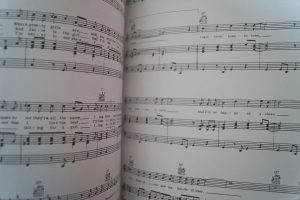 Rock n Roll Classics Vol. 1 Songbook Notenbuch Piano Vocal Guitar PVG