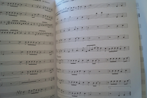 Sing mit Die besten Schlager (mit Karaoke-CD) Songbook Vocal Guitar