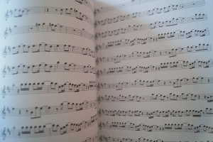 Die Powerhits Rock Pop Oldies Vol. 2 (mit CD) Songbook Notenbuch für diverse Instrumente