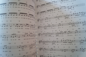 Die Powerhits Rock Pop Oldies Vol. 2 (mit CD) Songbook Notenbuch für diverse Instrumente