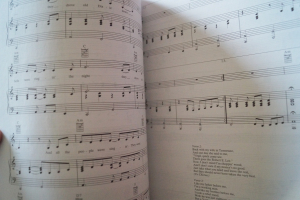 The Best Acoustic Rock Sheet Music Songbook Notenbuch Piano Vocal Guitar PVG