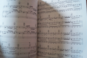 Something for the Boys Songbook Notenbuch Piano Vocal Guitar PVG