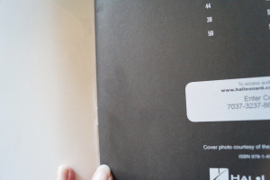 Django Reinhardt - Guitar Playalong (mit Audiocode) Songbook Notenbuch Guitar