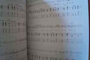 White Stripes - Elephant Songbook Notenbuch Vocal Guitar