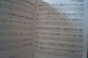 Guns n Roses - Appetite for Destruction Songbook Notenbuch Vocal Easy Guitar