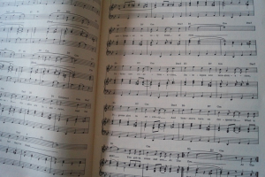 Simon and Garfunkel - Songs by Paul Simon Songbook Notenbuch Piano Vocal