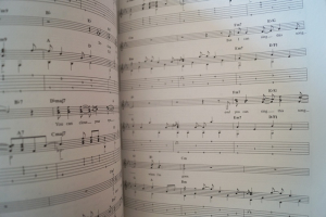 James Taylor - Classic James Taylor Songbook Notenbuch Vocal Guitar