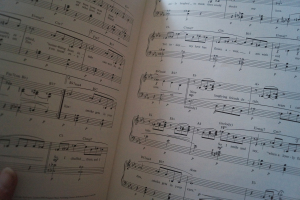 Jerome Kern - The Complete Piano Player Songbook Notenbuch Piano Vocal