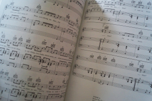 Take That - Take That & Party (mit Poster) Songbook Notenbuch Piano Vocal Guitar PVG