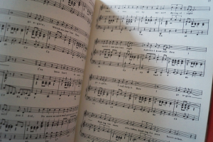 Hollies - The Best of Songbook Notenbuch Piano Vocal