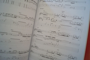 Ed Sheeran - Deluxe Guitar Play along (mit Audiocode) Songbook Notenbuch Vocal Guitar