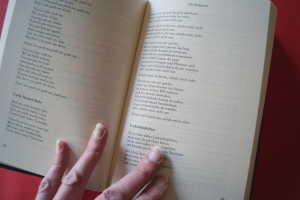 Woody Guthrie - Das Woody Guthrie Buch (mit CD) Songbook Vocal (nur Texte)