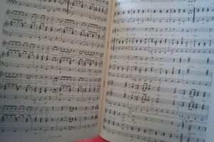 Lords - Melodie der Welt Band 2 Songbook Notenbuch Piano Vocal