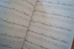 Pat Metheny - Rejoicing Songbook Notenbuch Guitar