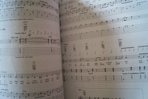 Rolling Stones - Hot Rocks (neuere Ausgabe) Songbook Notenbuch Vocal Guitar